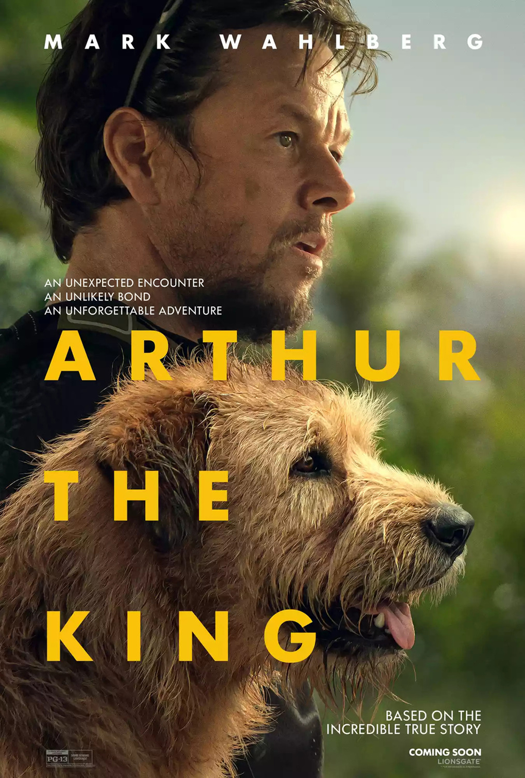 Movie Poster: Arthur the King