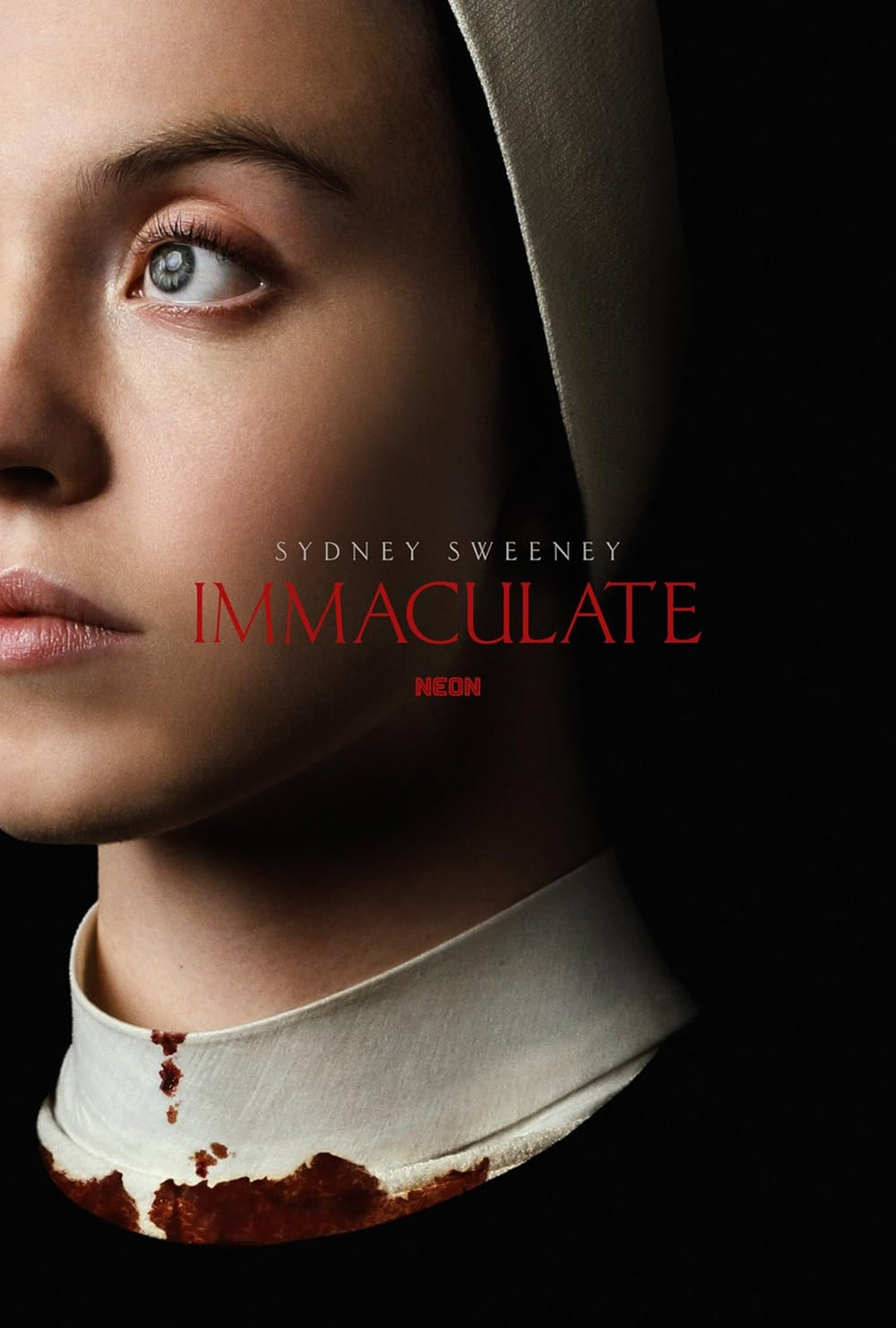 Movie Poster: Inmaculada