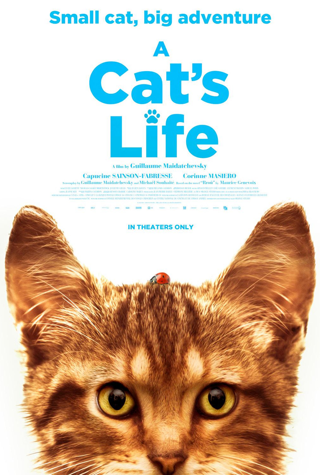 Movie Poster: A Cat's Life